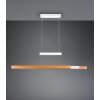 Trajan Suspension Luminaires Trio LED Blanc, 1 lumière