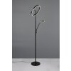 Willis Lampadaire Luminaires Trio LED Noir, 2 lumières