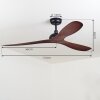 Ventilateur de plafond Follseland Brun, Couleur bois, Noir