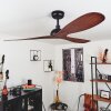 Ventilateur de plafond Follseland Brun, Couleur bois, Noir