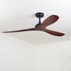Ventilateur de plafond Follseland Brun, Couleur bois, Noir