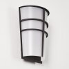 Applique murale d'extérieur Lamarche LED Anthracite, 2 lumières