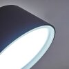 Borne lumineuse Moroni LED Anthracite, 1 lumière
