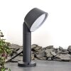 Borne lumineuse Moroni LED Anthracite, 1 lumière