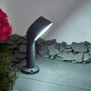 Borne lumineuse Moroni LED Anthracite, 1 lumière