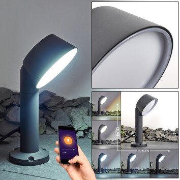 Borne lumineuse Moroni LED Anthracite, 1 lumière