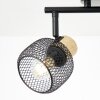 Giada Spot de plafond Luminaires Brilliant Noir, 2 lumières