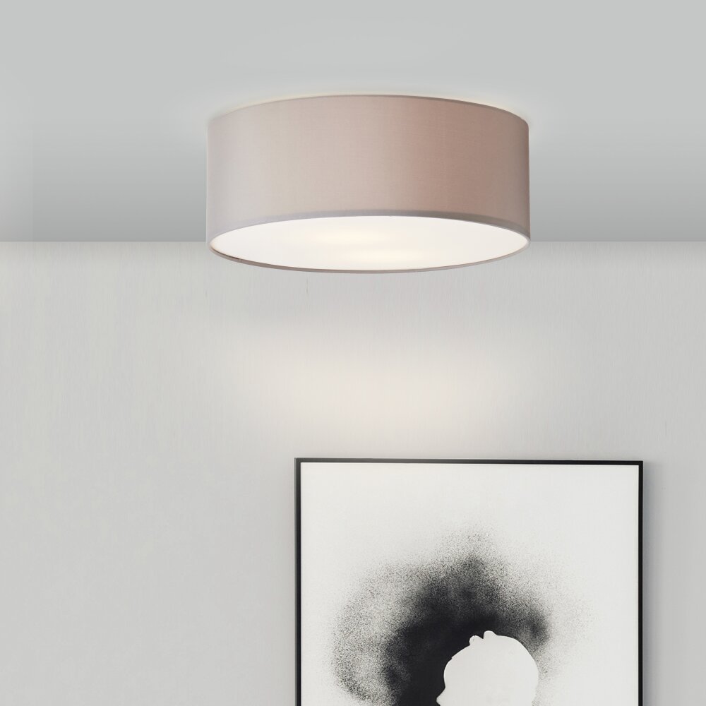 Anneke Plafonnier Luminaires Brilliant Blanc, 2 lumières main product photo