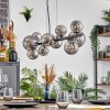 Chehalis Boule lumineuse, Suspension Fumé, 10 lumières