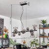 Chehalis Boule lumineuse, Suspension Fumé, 10 lumières