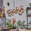 Chehalis Boule lumineuse, Suspension Fumé, 10 lumières
