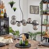 Chehalis Boule lumineuse, Suspension Fumé, 8 lumières