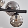 Chehalis Boule lumineuse, Suspension Fumé, 8 lumières