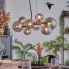 Chehalis Boule lumineuse, Suspension Fumé, 8 lumières