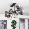 Chehalis Plafonnier, Boule lumineuse Clair, Fumé, 8 lumières