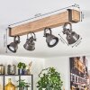 Pehefito Plafonnier, Spot de plafond Gris, Écru, 4 lumières