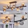 Chehalis Plafonnier, Boule lumineuse Ambre, Clair, Fumé, 8 lumières