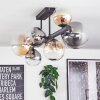 Chehalis Plafonnier, Boule lumineuse Ambre, Clair, Fumé, 8 lumières