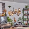 Chehalis Suspension, Boule lumineuse, Suspension Ambre, Fumé, 10 lumières