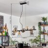 Chehalis Suspension, Boule lumineuse, Suspension Ambre, Fumé, 10 lumières