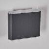 Paranhas Lampe murale d´extérieur, Luminaire de salle de bain, Luminaire Up & Down, Applique murale Anthracite, 1 lumière