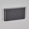 Gamas Lampe murale d´extérieur, Luminaire de salle de bain, Luminaire Up & Down, Applique murale Anthracite, 1 lumière