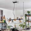 Chehalis Suspension, Boule lumineuse, Suspension Ambre, Fumé, 10 lumières