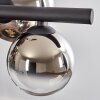 Chehalis Suspension, Boule lumineuse, Suspension Chrome, Clair, Fumé, 8 lumières