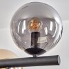 Gastor Suspension, Boule lumineuse, Suspension Ambre, Fumé, 10 lumières