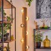 Chehalis Boule lumineuse, Lampadaire Écru, Noir, 6 lumières