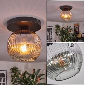 Ripoll Plafonnier, Boule lumineuse Chrome, Clair, Fumé, 1 lumière Ripoll Plafonnier, Boule lumineuse Chrome, Clair, Fumé, 1 lumière