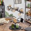 Chehalis Suspension, Boule lumineuse, Suspension Ambre, Clair, Fumé, 10 lumières