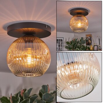Ripoll Plafonnier, Boule lumineuse Ambre, Clair, 1 lumière Ripoll Plafonnier, Boule lumineuse Ambre, Clair, 1 lumière