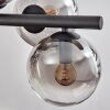Gastor Suspension, Boule lumineuse, Suspension Clair, Fumé, 8 lumières