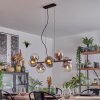 Gastor Suspension, Boule lumineuse, Suspension Clair, Fumé, 8 lumières