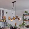 Gastor Suspension, Boule lumineuse, Suspension Ambre, Clair, Fumé, 8 lumières