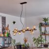 Chehalis Suspension, Boule lumineuse, Suspension Ambre, Clair, 10 lumières