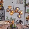 Gastor Suspension, Boule lumineuse, Suspension Ambre, Fumé, 8 lumières