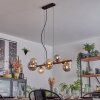 Chehalis Suspension, Boule lumineuse, Suspension Ambre, Fumé, 8 lumières