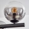 Gastor Suspension, Boule lumineuse, Suspension Clair, Fumé, 10 lumières