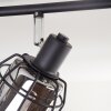 Ennor Plafonnier, Spot de plafond Noir, 4 lumières