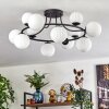 Chehalis Plafonnier, Boule lumineuse 76 cm Blanc, 12 lumières