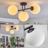 Gastor Plafonnier, Boule lumineuse Blanc, 3 lumières