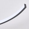 Plafonnier Guinea LED Anthracite, 2 lumières