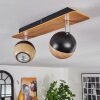 Haldor Plafonnier, Spot de plafond Brun, Chrome, Noir, 2 lumières