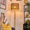 Cando Lampadaire Écru, 1 lumière