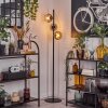 Koyoto Lampadaire Clair, Fumé, 3 lumières