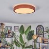 Sofo Plafonnier, Panel LED Blanc, 1 lumière
