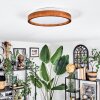 Sofo Plafonnier, Panel LED Blanc, 1 lumière