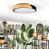 Cadaixo Plafonnier, Panel LED Blanc, 1 lumière, Télécommandes